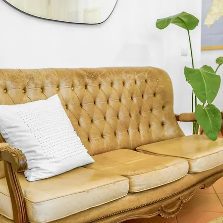 Alojamento de Acomodação e Pequeno-almoço Casa Luma